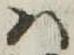 𛂞 위치 확인됨