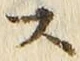 𡨸ス