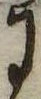 Đã định vị 𛂌