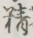 精 위치 확인됨