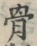 文字骨