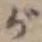글자 が