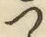 글자 つ
