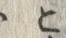 “こ”字