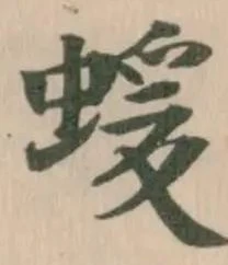 蝯の位置