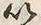 文字以