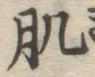 文字肌