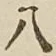 文字 八