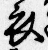 衣 위치 확인됨