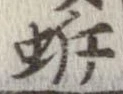 蚸 위치 확인됨