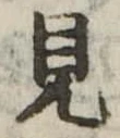 見 위치 확인됨