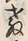 文字教