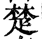 글자 楚