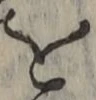 字を