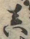 미지정 위치 확인됨