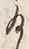 Character 給