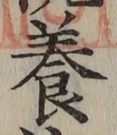 Chữ 養