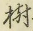 글자 樹