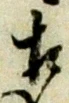 相 위치 확인됨