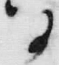 글자 に