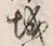 글자 城