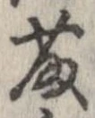 藤の位置