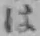 글자 は