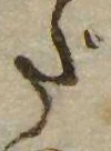 㐌定位だ