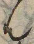㐌定位𣗓檊
