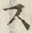 文字 ス