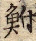 鮒 위치 확인됨