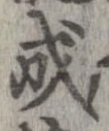 位置 確認된 成