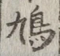 鳩 위치 확인됨