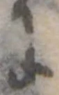𛂌 위치 확인됨