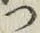 文字 つ