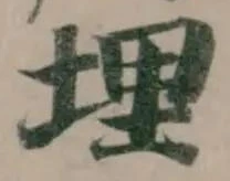 位置定マレル埋