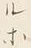 글자 ル