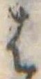 𛂦の位置