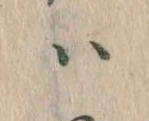 已定位𛂞