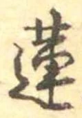 蓮 위치 확인됨