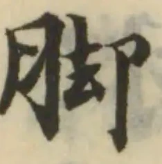 腳 위치 확인됨