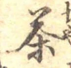 茶 위치 확인됨