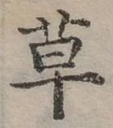 草 위치 확인됨