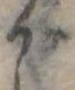 位置 確認된 が