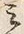 字み