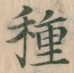글자 種