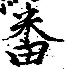 已定位番
