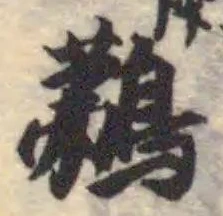 Đã định vị 鵜