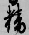 精 위치 확인됨