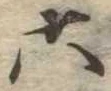 六 위치 확인됨